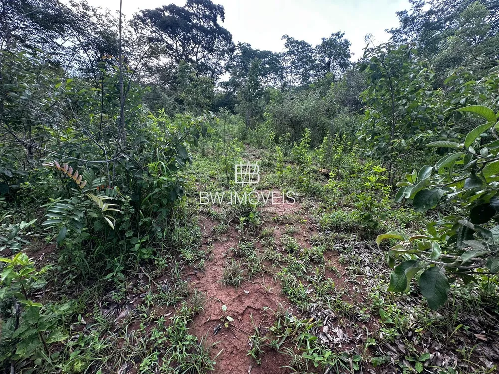 Fazenda, 116 hectares - Foto 3