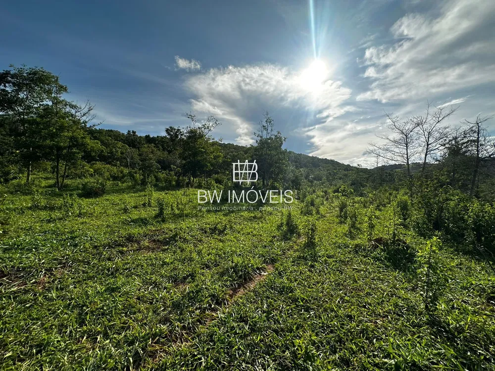 Fazenda, 116 hectares - Foto 1