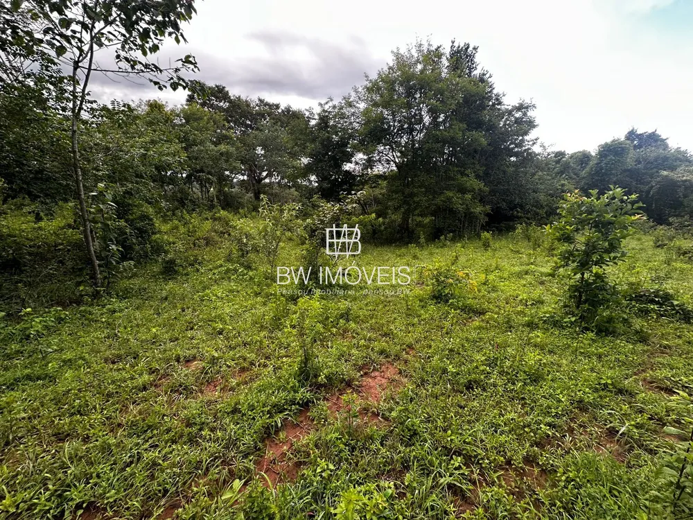 Fazenda, 116 hectares - Foto 10