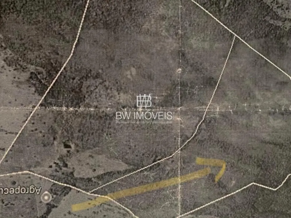 Fazenda, 116 hectares - Foto 12