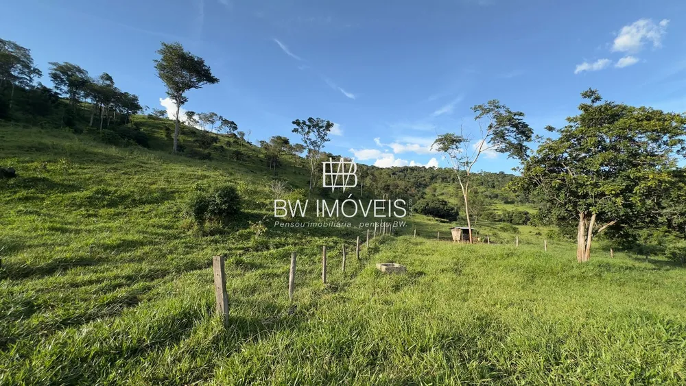 Fazenda, 119 hectares - Foto 7