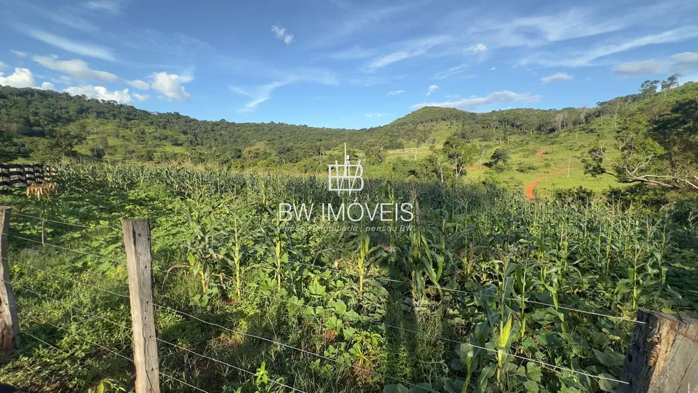 Fazenda, 119 hectares - Foto 12