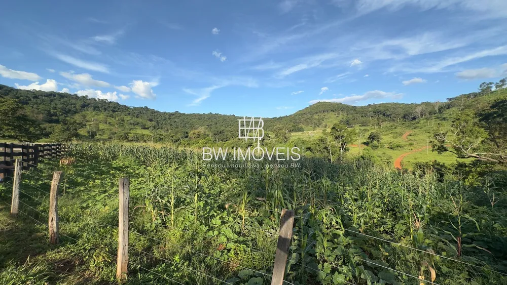 Fazenda, 119 hectares - Foto 13