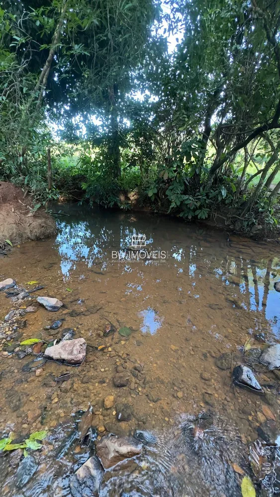 Fazenda, 119 hectares - Foto 6