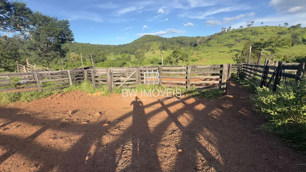 Fazenda, 119 hectares - Foto 10