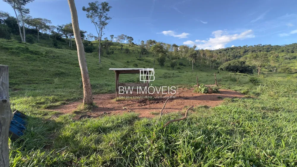 Fazenda, 119 hectares - Foto 11
