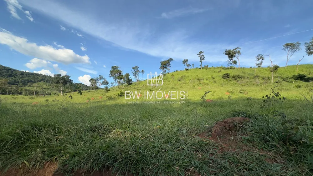 Fazenda, 119 hectares - Foto 4