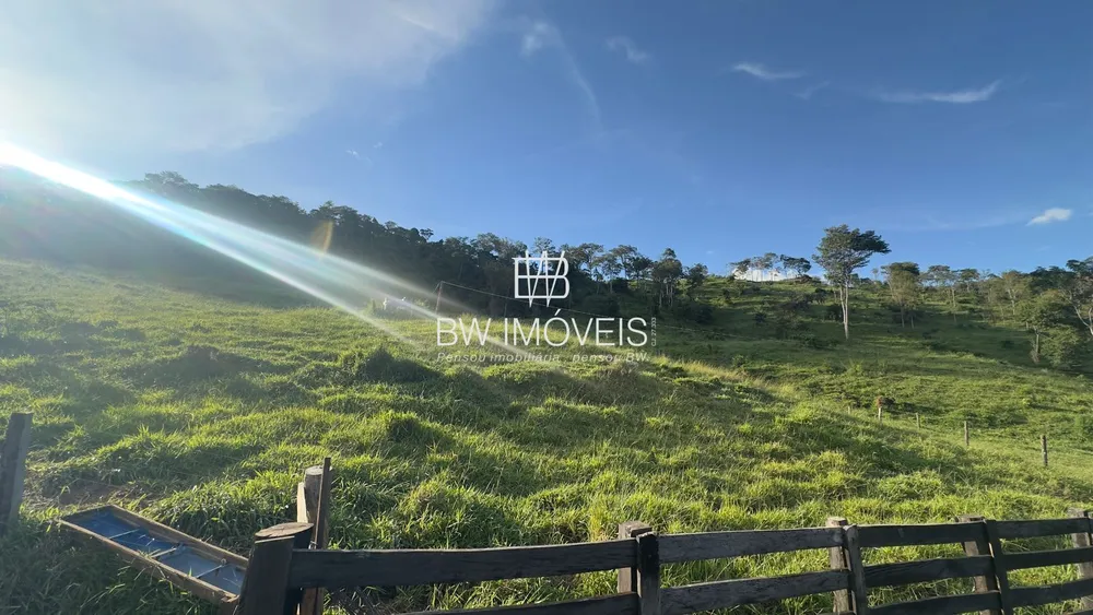 Fazenda, 119 hectares - Foto 15