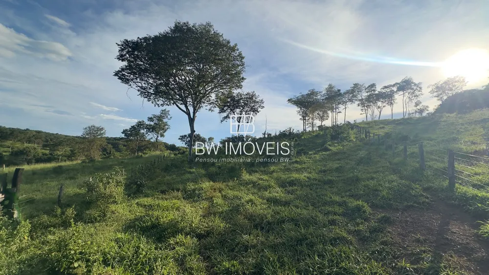 Fazenda, 119 hectares - Foto 14