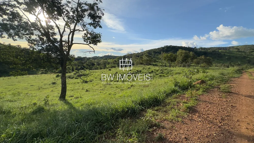 Fazenda, 119 hectares - Foto 3