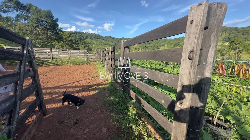 Fazenda, 119 hectares - Foto 8