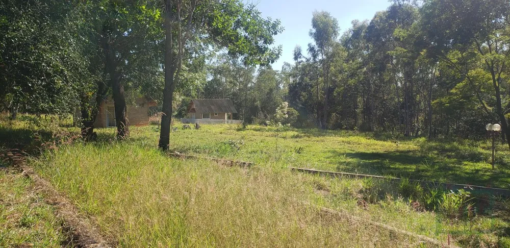 Fazenda, 29 hectares - Foto 15