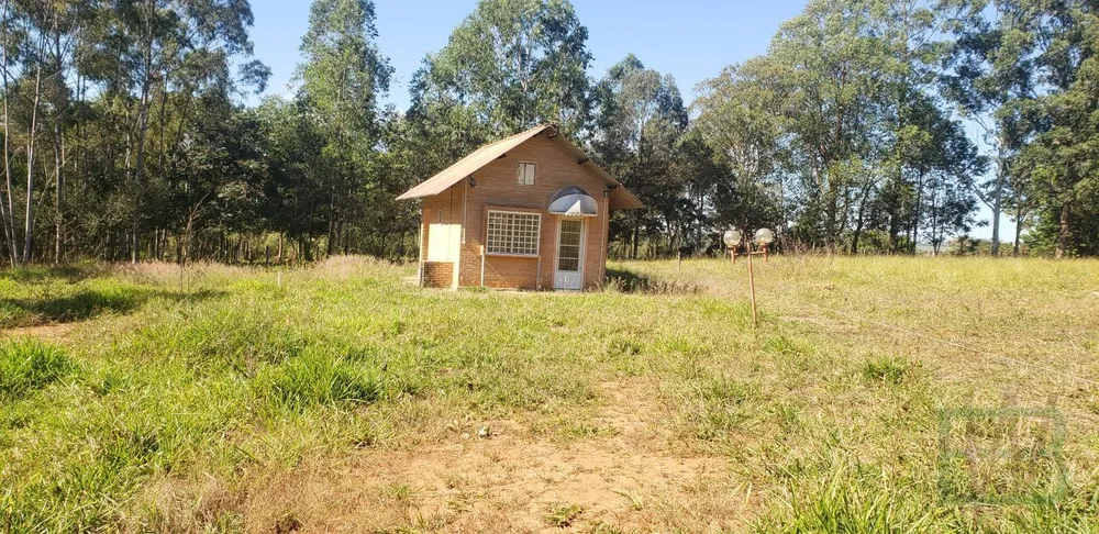 Fazenda, 29 hectares - Foto 16