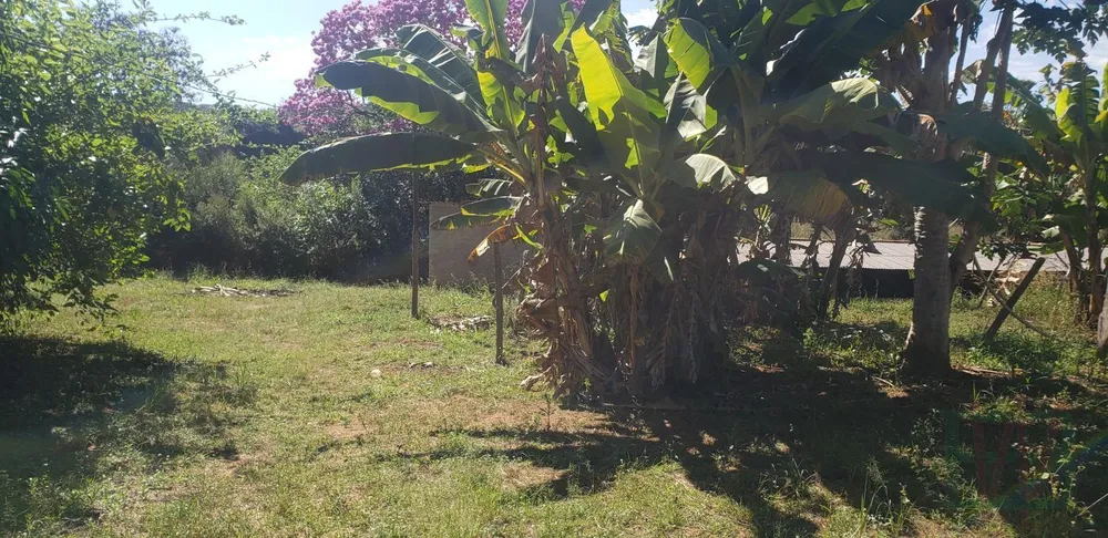 Fazenda, 29 hectares - Foto 18