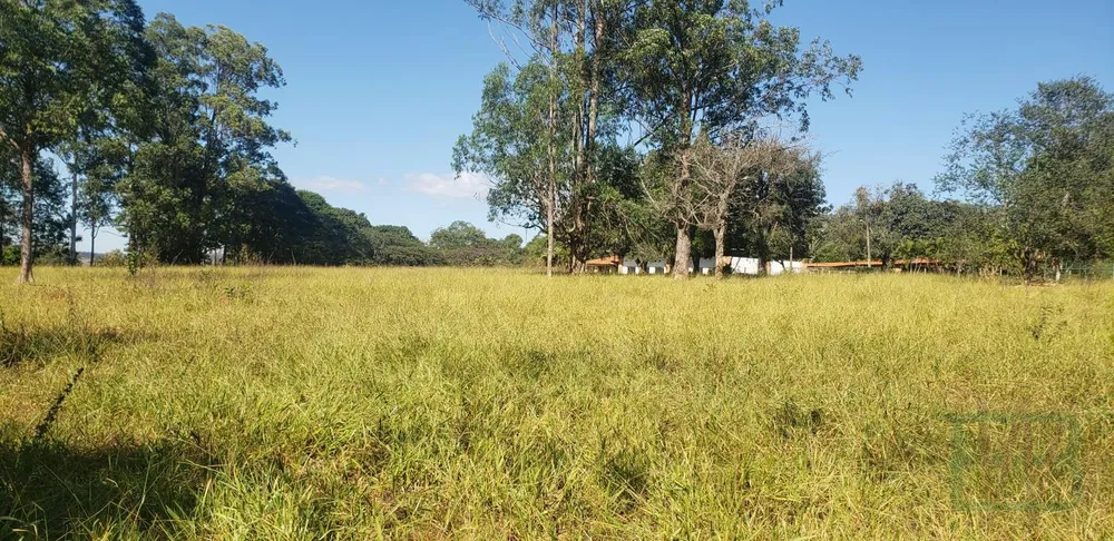Fazenda, 29 hectares - Foto 14