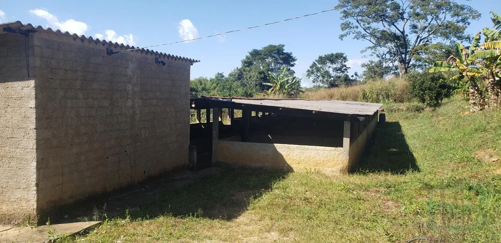 Fazenda, 29 hectares - Foto 19