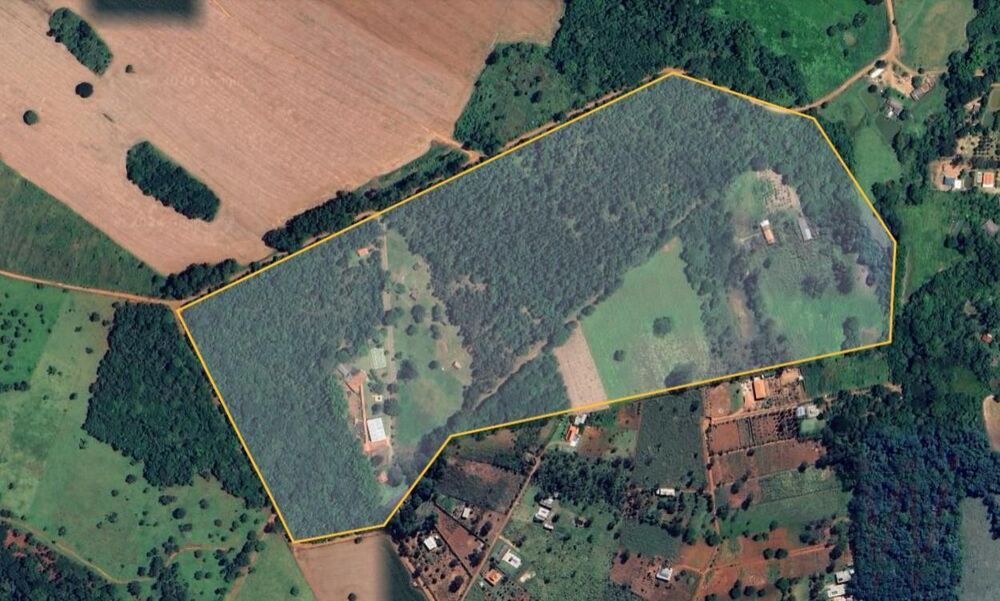 Fazenda, 29 hectares - Foto 1