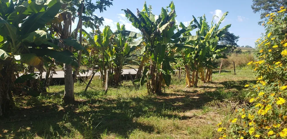 Fazenda, 29 hectares - Foto 17