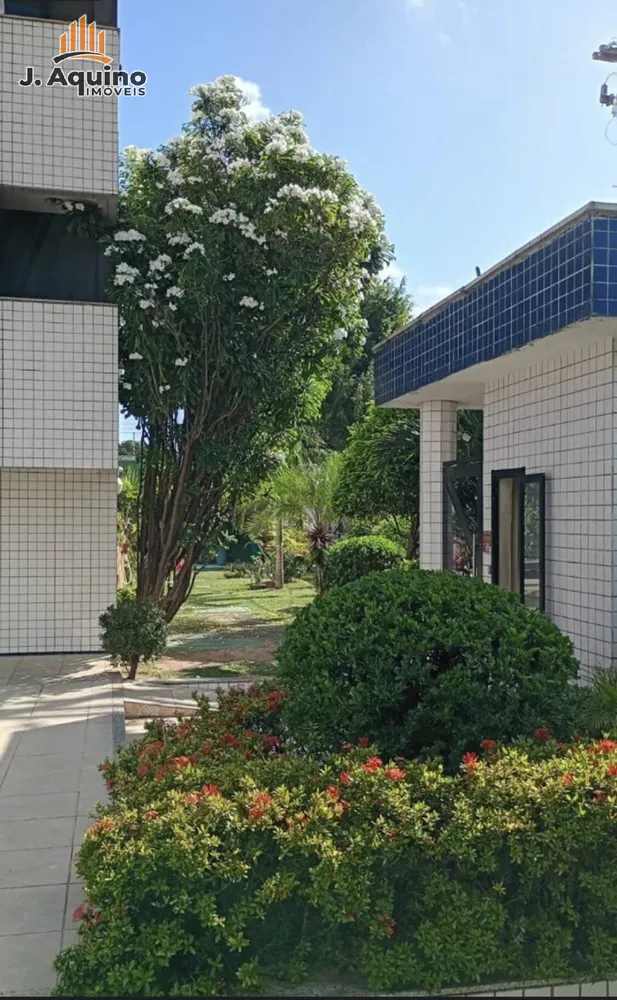 Apartamento, 3 quartos, 65 m² - Foto 11