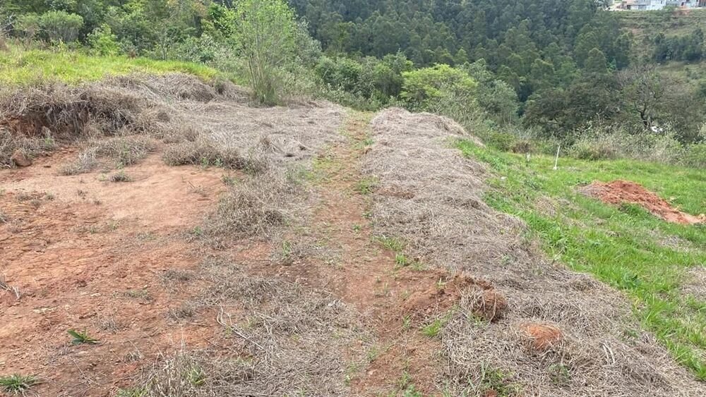 Terreno, 200 m² - Foto 3