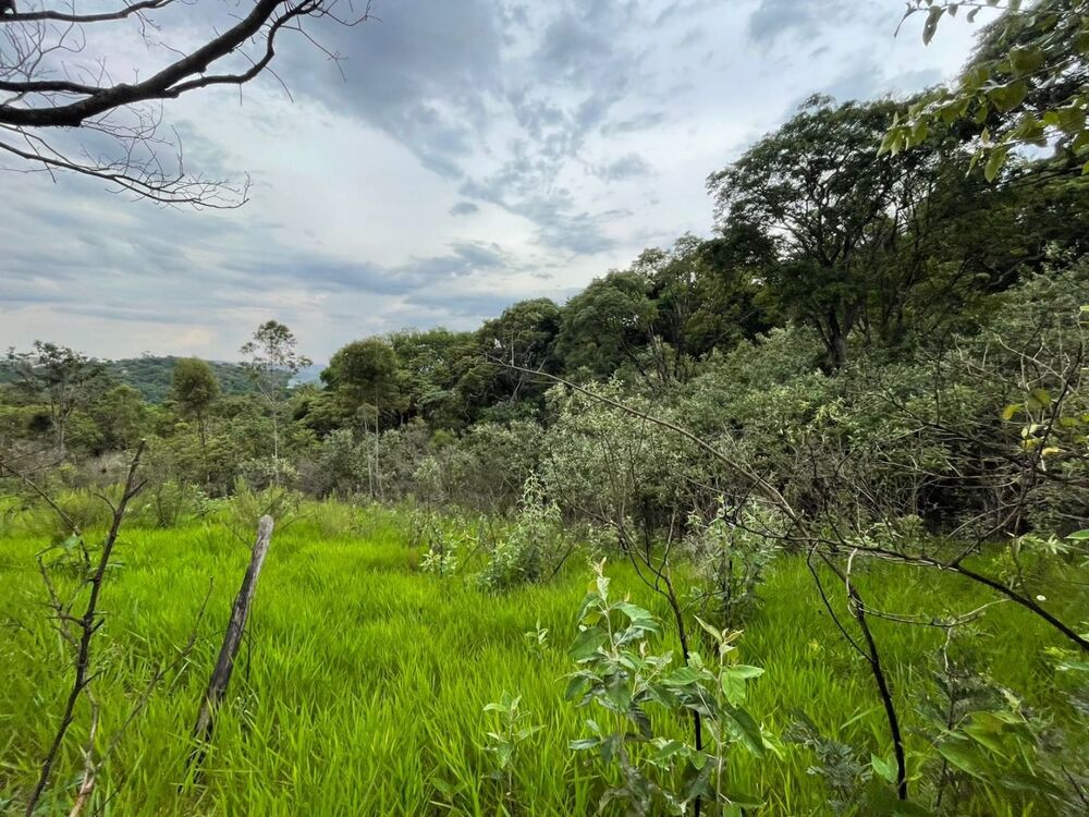 Loteamento e Condomínio, 743 m² - Foto 5