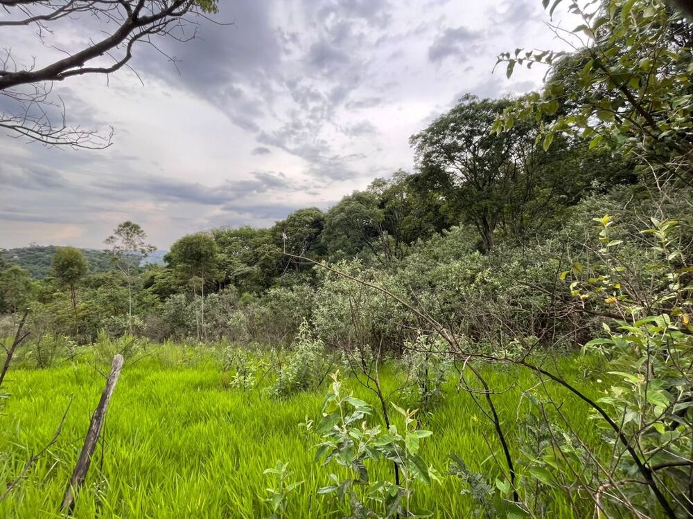 Loteamento e Condomínio, 743 m² - Foto 3