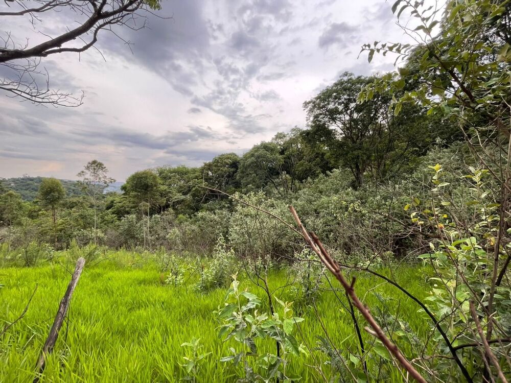 Loteamento e Condomínio, 743 m² - Foto 8