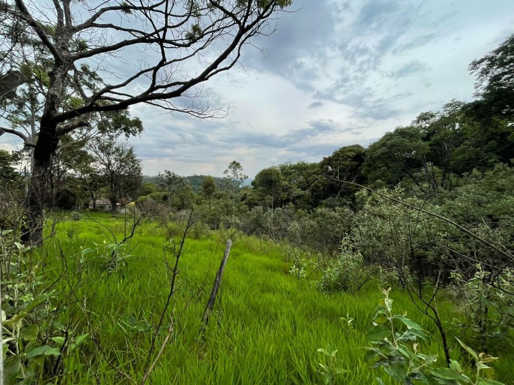 Loteamento e Condomínio, 743 m² - Foto 6