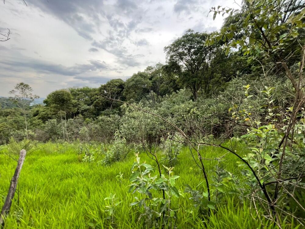 Loteamento e Condomínio, 743 m² - Foto 7