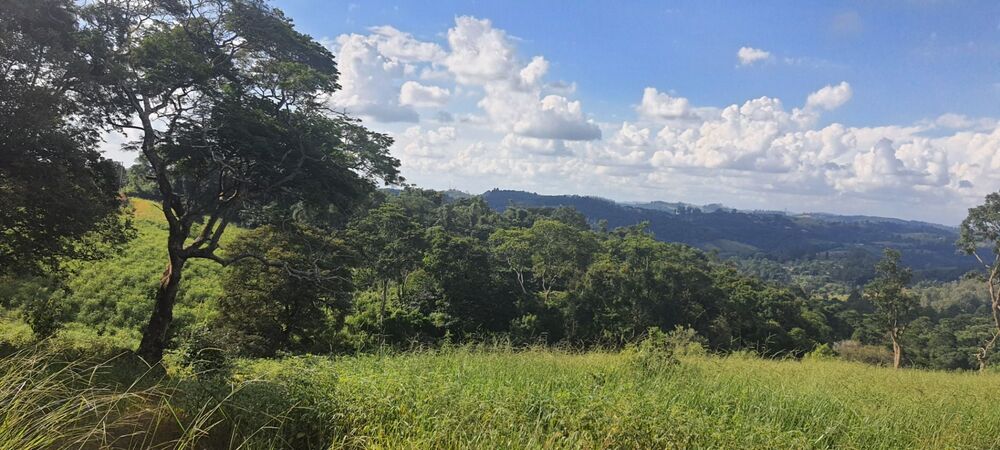 Loteamento e Condomínio, 2 hectares - Foto 15
