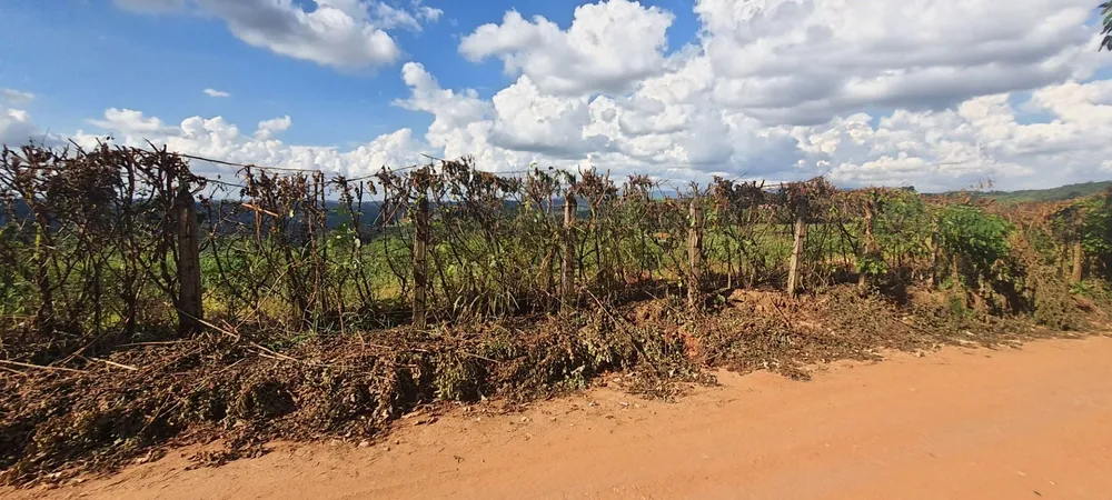 Loteamento e Condomínio, 2 hectares - Foto 4