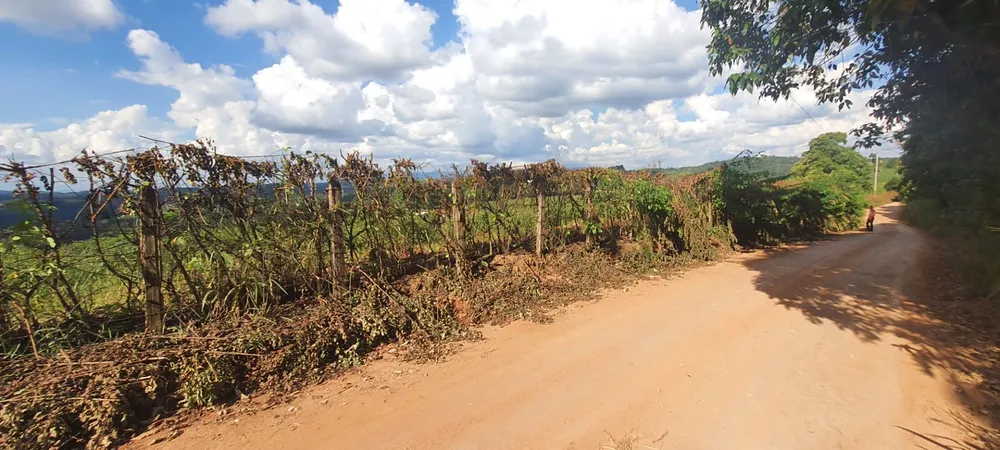Loteamento e Condomínio, 2 hectares - Foto 3