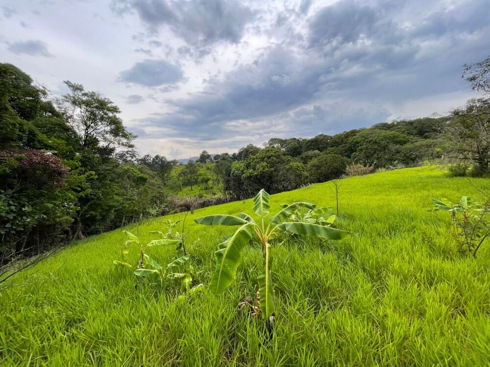 Loteamento e Condomínio, 1396 m² - Foto 7