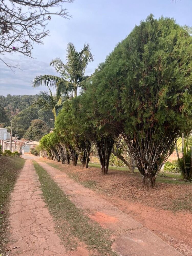 Chácara, 3 quartos, 3915 m² - Foto 11