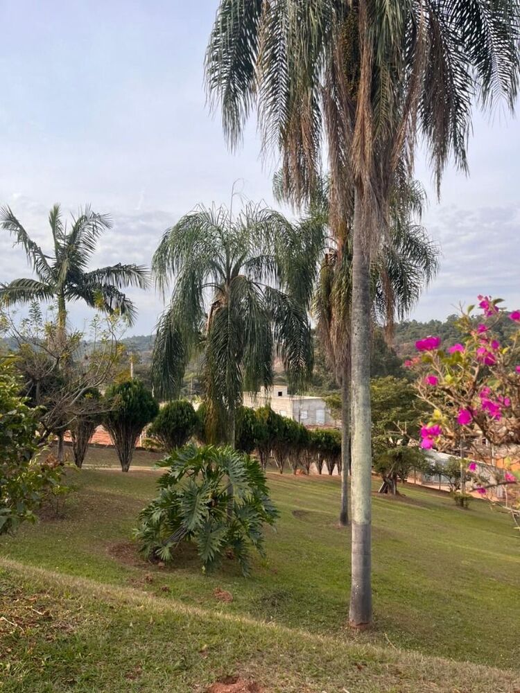 Chácara, 3 quartos, 3915 m² - Foto 10