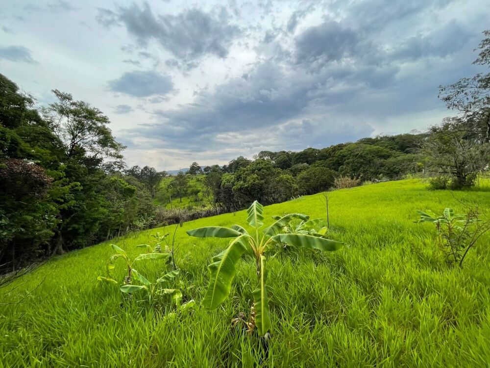 Loteamento e Condomínio, 847 m² - Foto 6