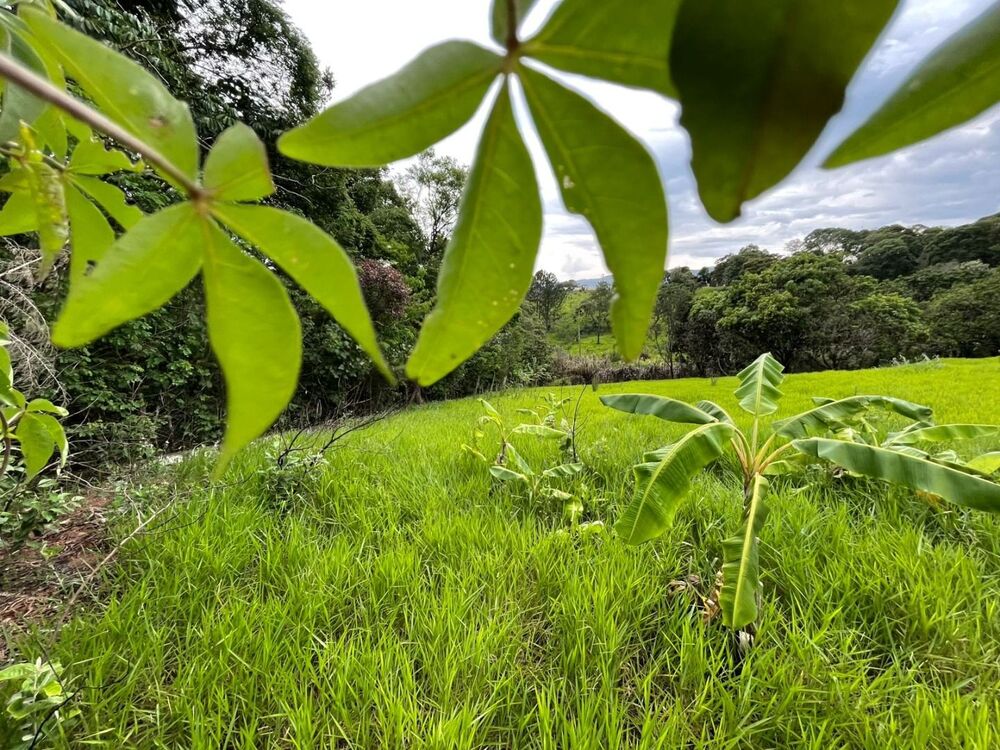 Loteamento e Condomínio, 847 m² - Foto 2