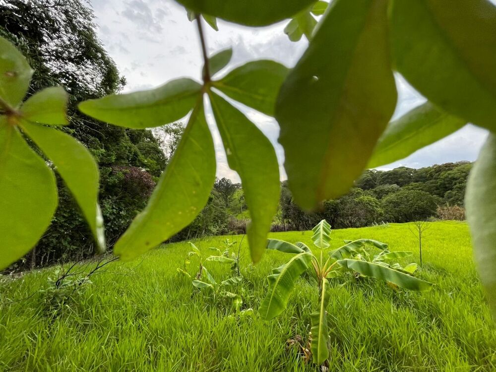 Loteamento e Condomínio, 847 m² - Foto 4