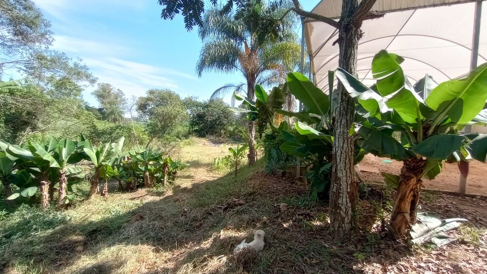 Terreno, 3984 m² - Foto 16