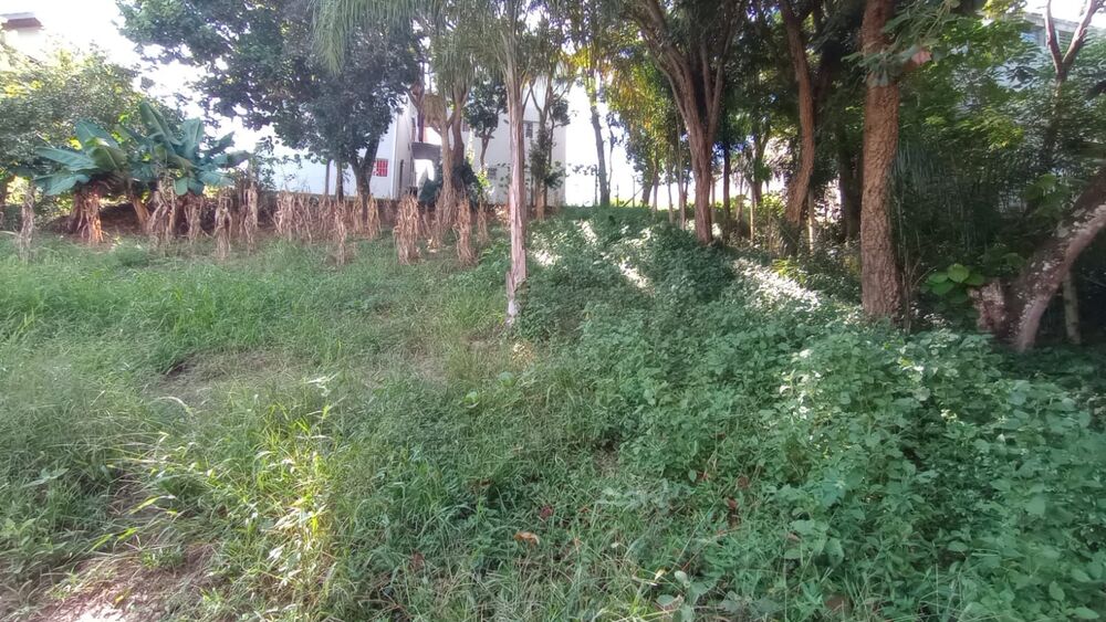 Terreno, 3984 m² - Foto 7