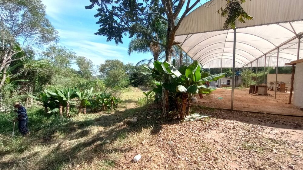 Terreno, 3984 m² - Foto 4