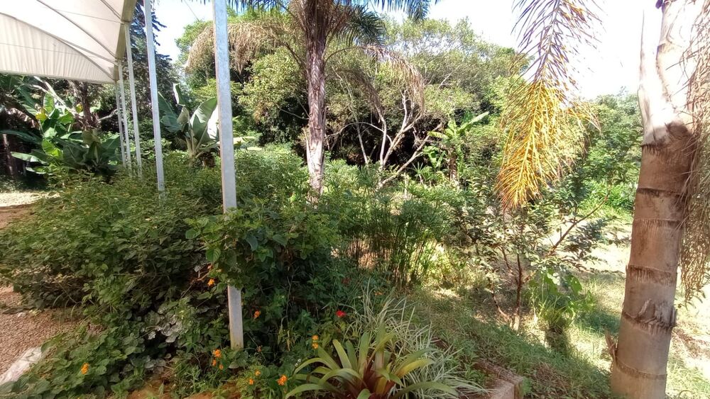 Terreno, 3984 m² - Foto 13