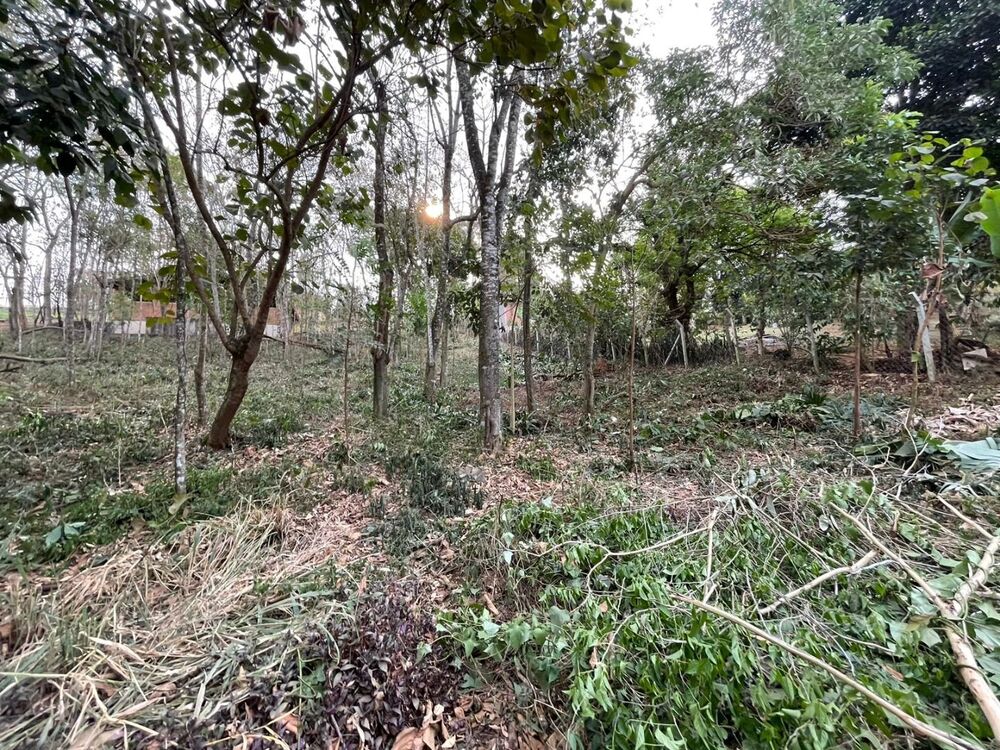 Loteamento e Condomínio, 510 m² - Foto 3