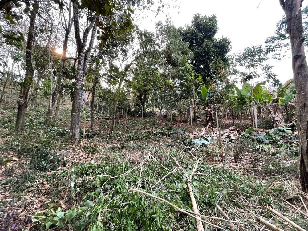 Loteamento e Condomínio, 510 m² - Foto 5