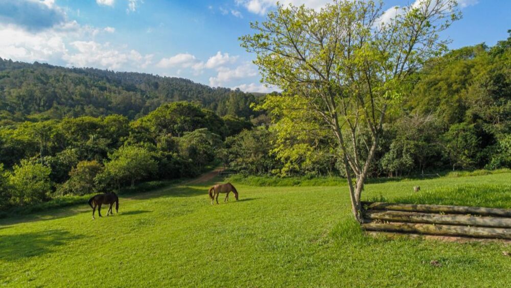 Loteamento e Condomínio, 1000 m² - Foto 14