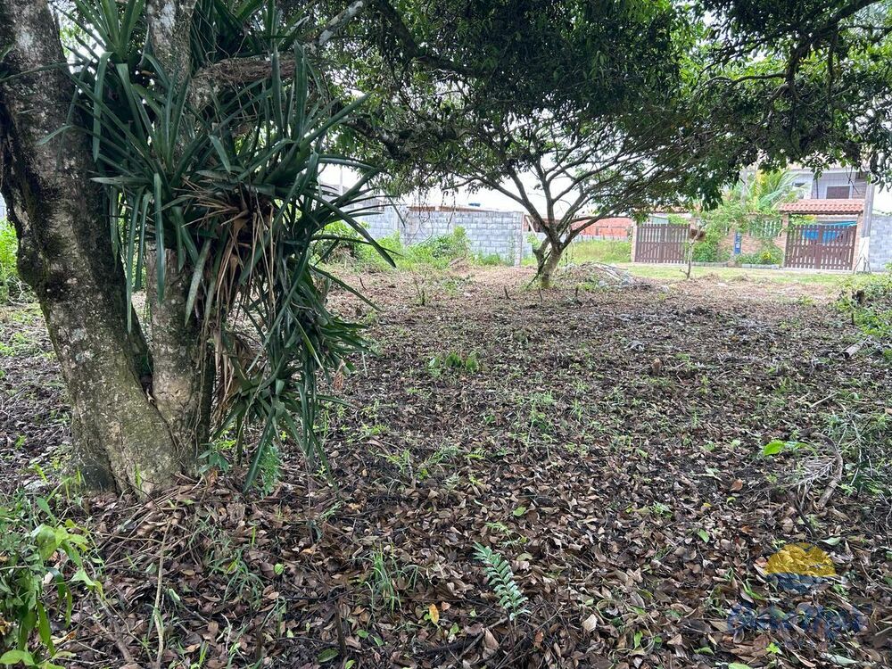 Terreno, 330 m² - Foto 3