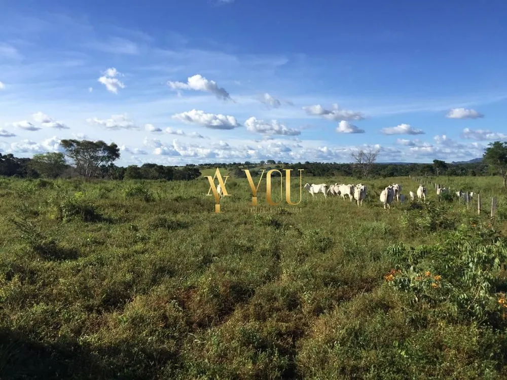 Fazenda, 431 hectares - Foto 4