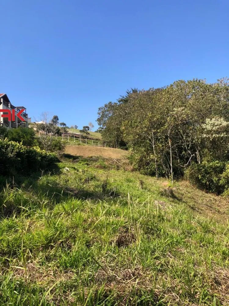 Terreno, 1135 m² - Foto 5