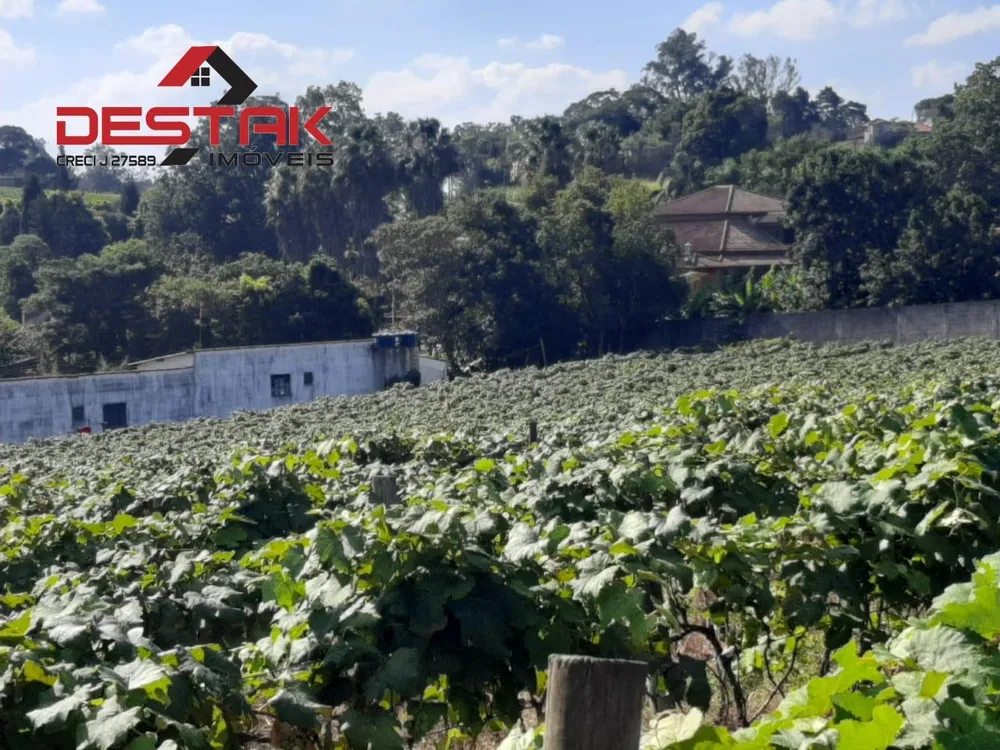 Sítio, 1 quarto, 8 hectares - Foto 7