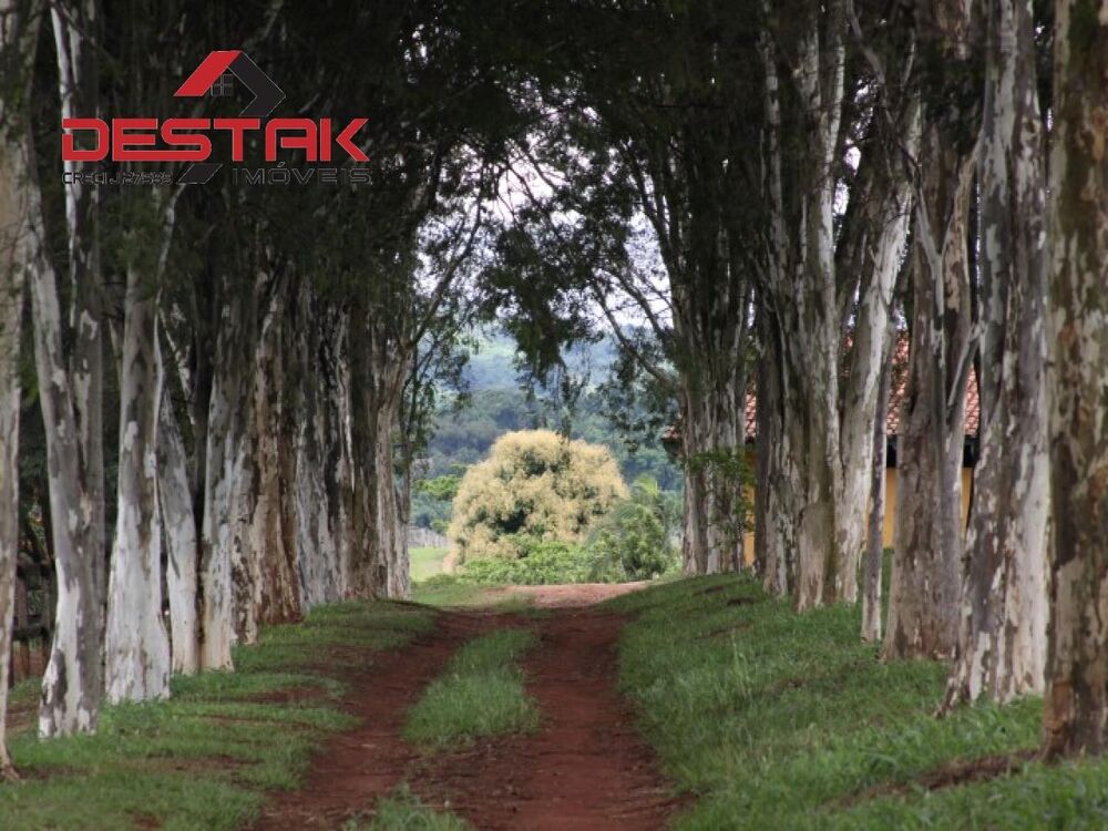 Fazenda, 261 hectares - Foto 4